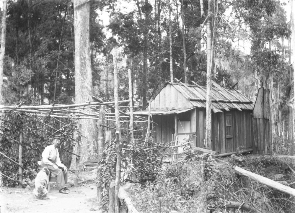 Lee Foon and his dog at the Beacon Mine, c.1898