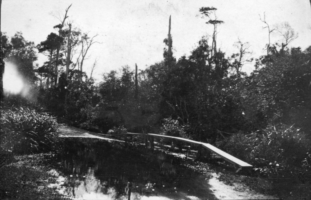 The Pacific State Highway near Woolgoolga, c.1912