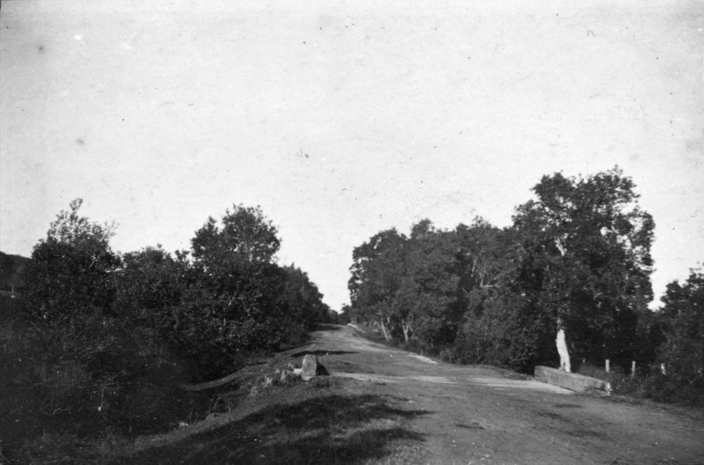 The Pacific State Highway near Woolgoolga, c.1912