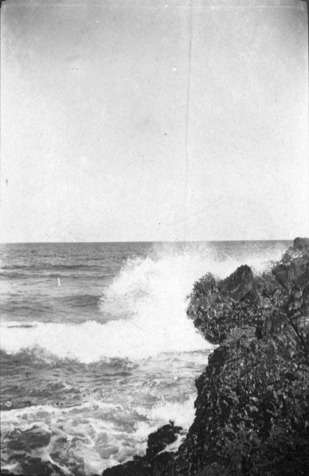 View from Korora, c.1912