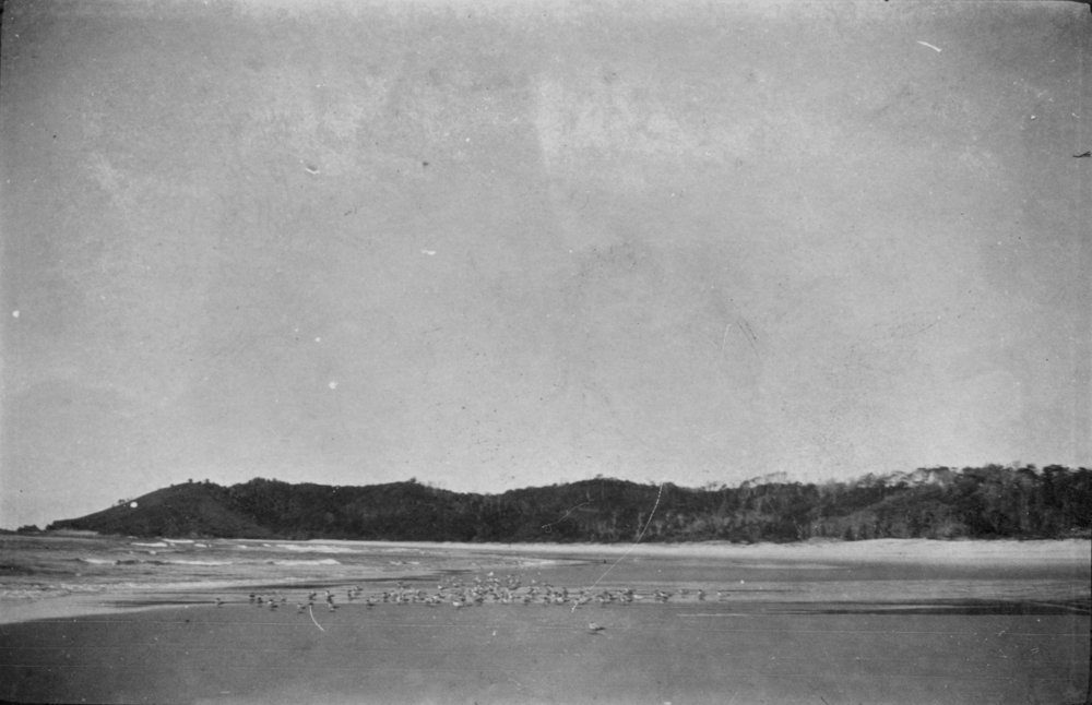 Diggers Beach, c.1912