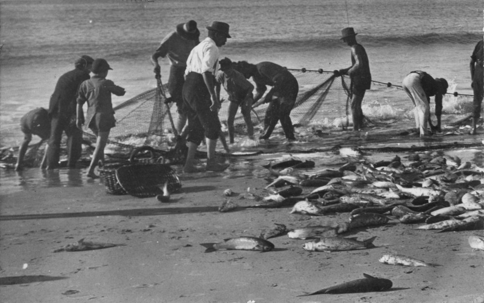 Fishermen hauling in their catch on the main beach at Byron Bay, c.1912