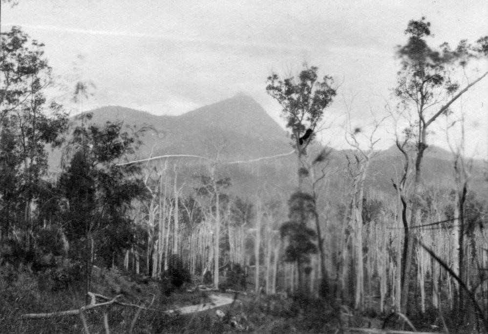 View of Mt. Warning from Byron Bay, c.1912