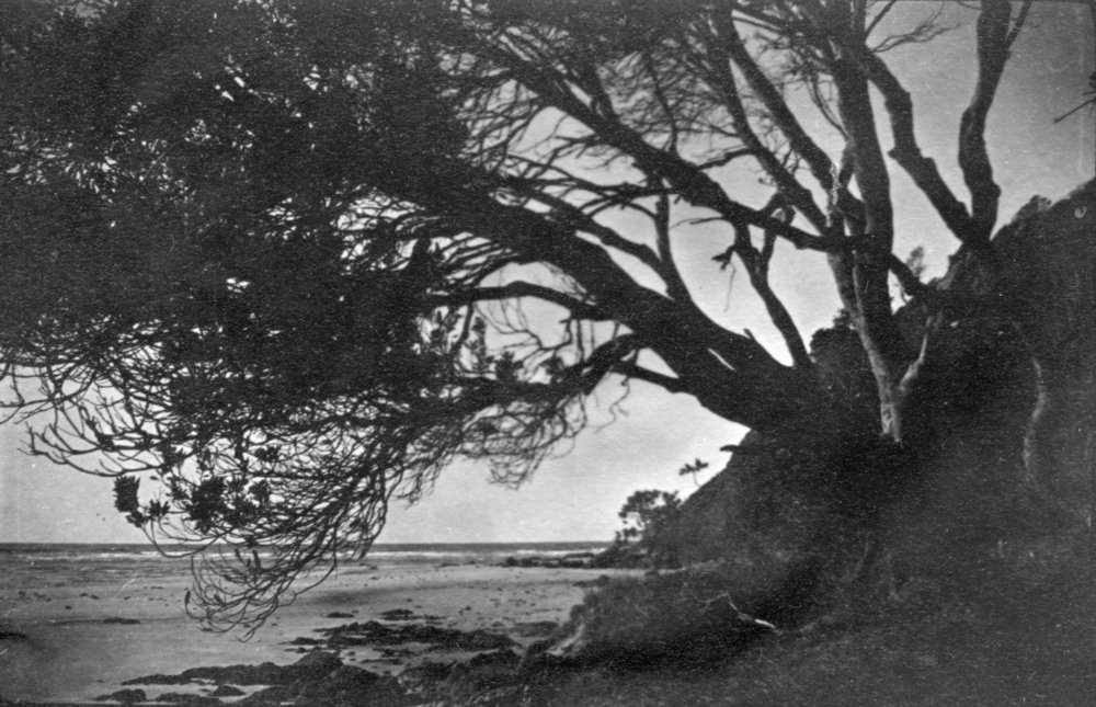 A beach scene, c.1912
