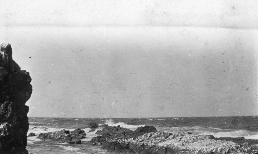 Waves breaking on rocks and a flock of seagulls, c.1912