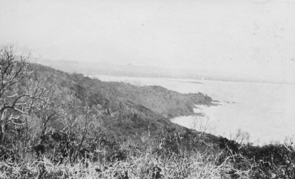 A long distance view of Byron Bay Jetty, c.1912