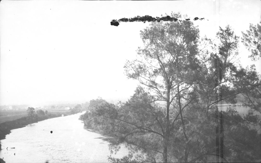 North Bank Road beside the Bellinger River, c.1925