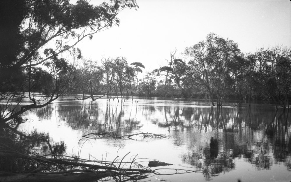 Coffs Creek flood at Saltwater, 29 April 1923