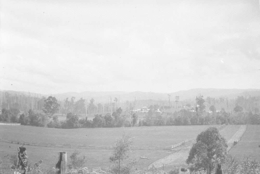 A view of Nana Glen from "New Jerusalem", 14 November 1925