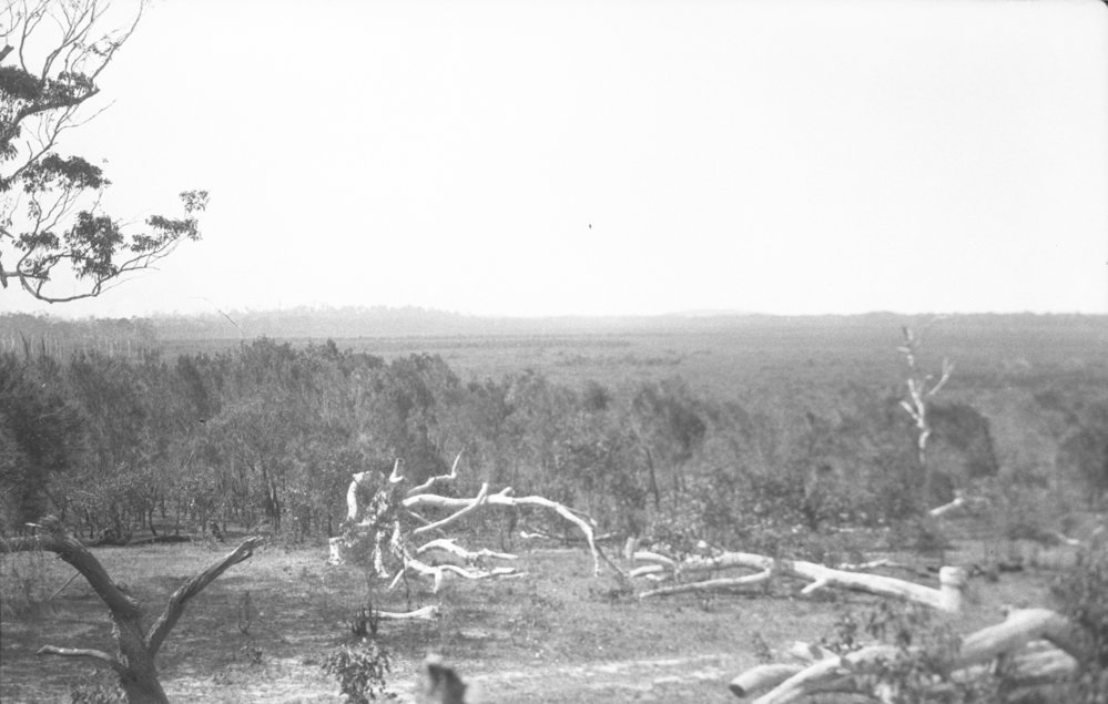 The site of Coffs Harbour Aerodrome, 1925 