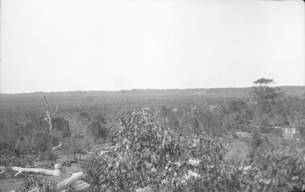 The site of Coffs Harbour Aerodrome, 1925
