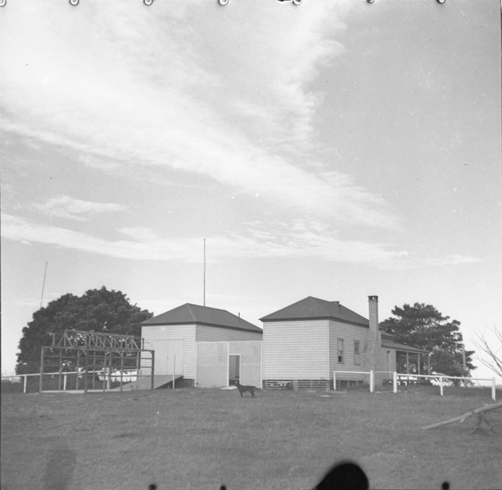 Sunny Range with Tralee Irish setter, 1936