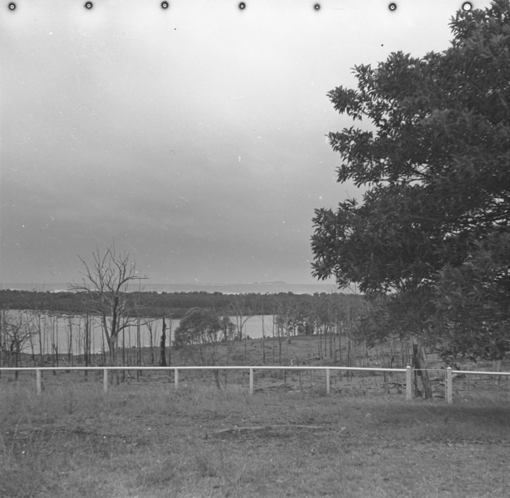 View of Moonee Beach from Sunny Range, 1936