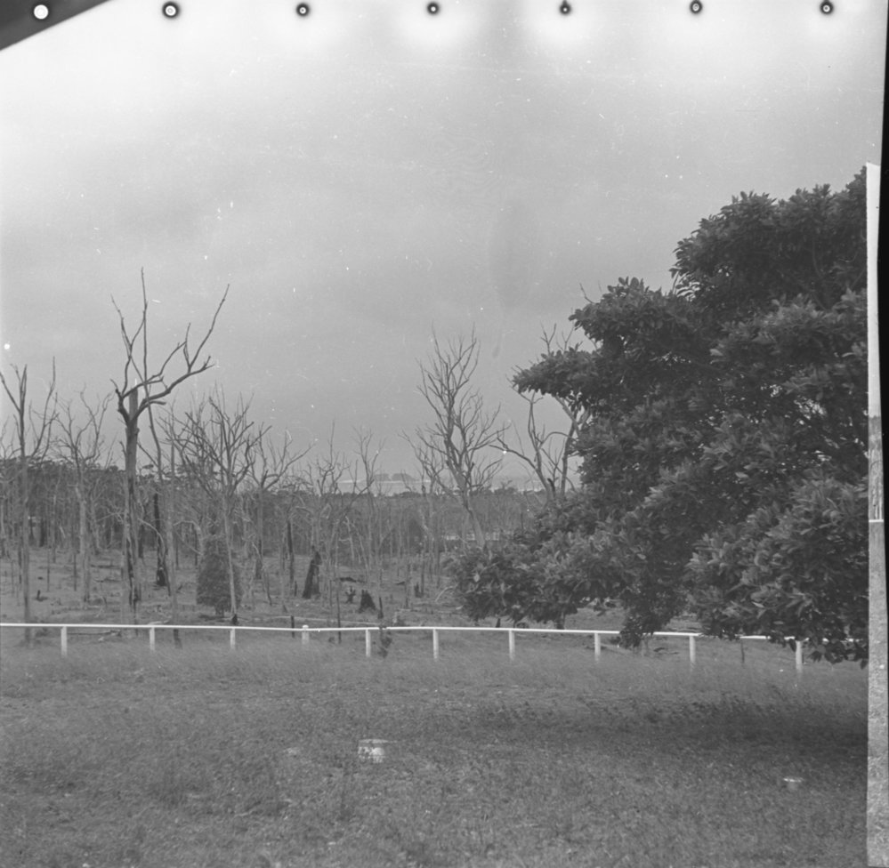 View of Moonee Beach and Split Solitary Island from Sunny Range, 1936