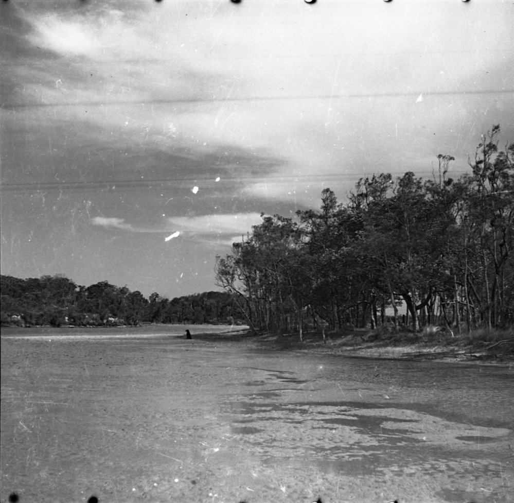 View of Moonee Beach township from Sunny Range, 1936