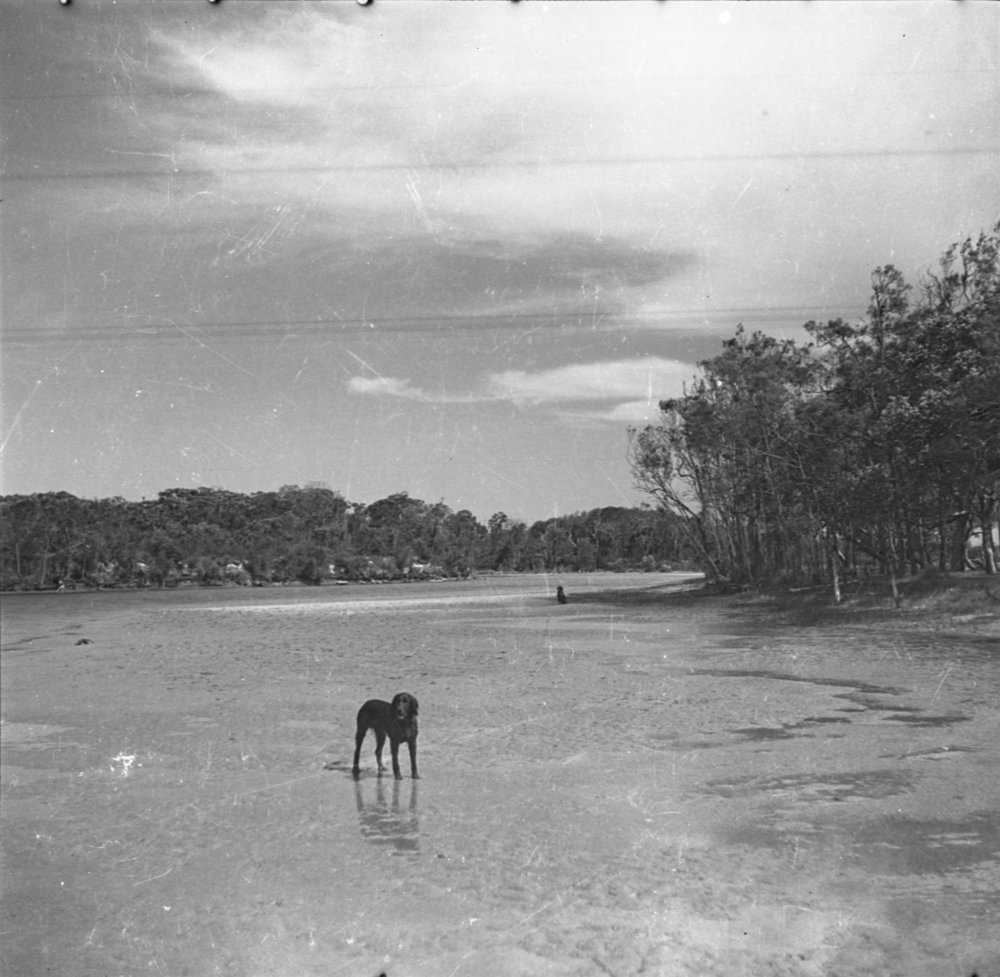 View of Moonee Beach township from Sunny Range, 1936