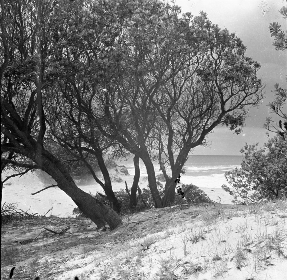 Moonee Beach, 1936
