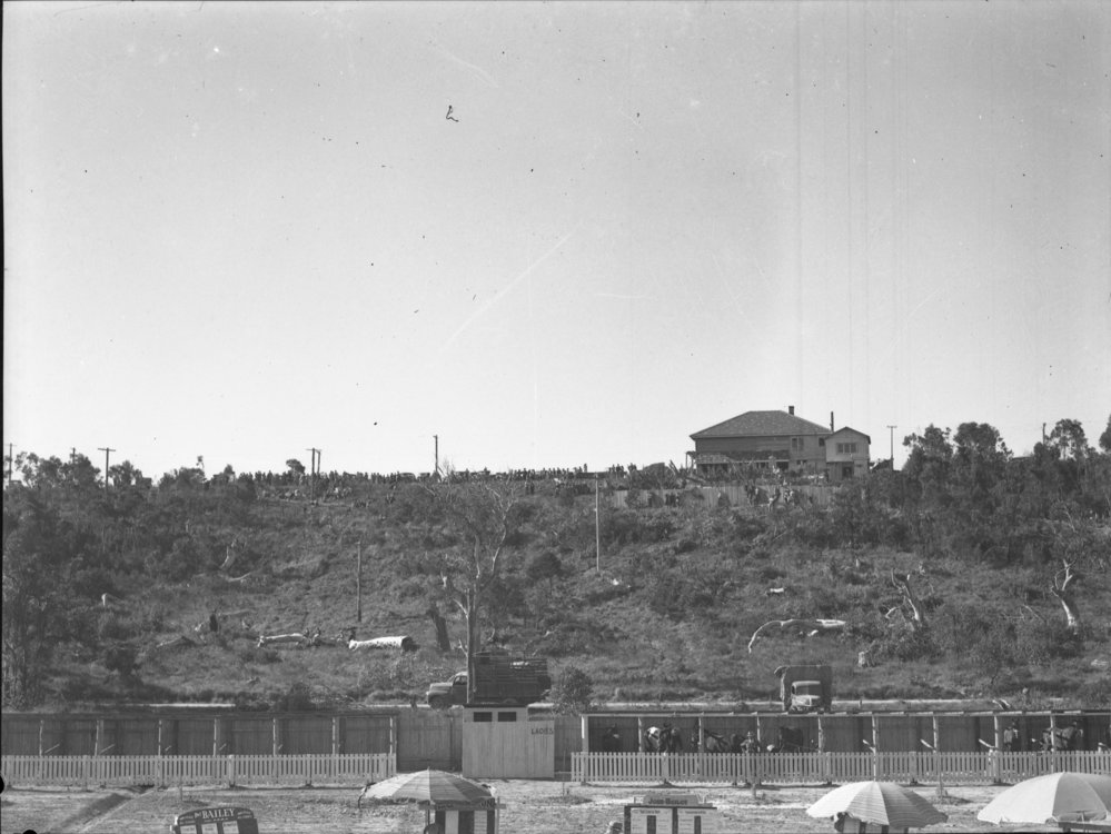 Outside crowd on the hill at the Coffs Harbour Racing Club's inaugural meeting, 7 August 1948