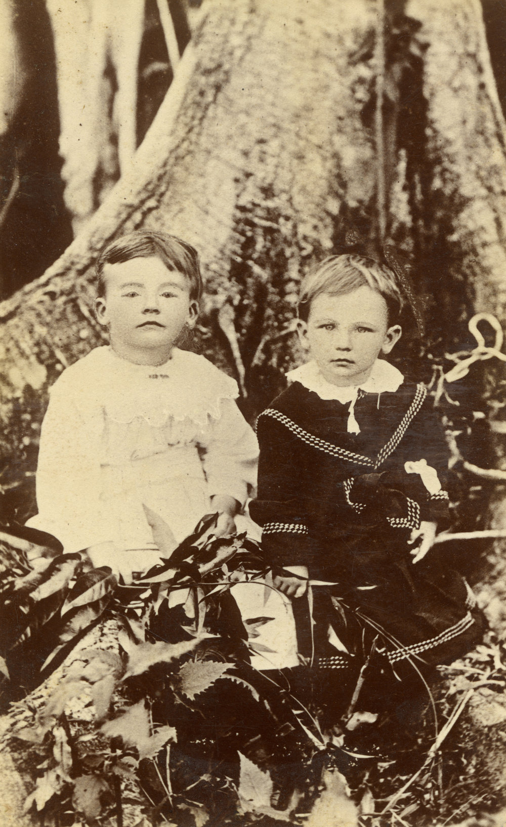 Portrait of two children, c. 1895 