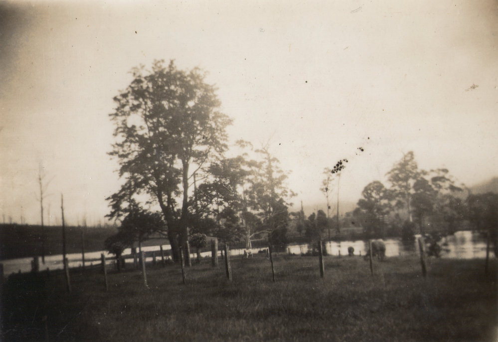 Orara River Bridge approaches, c.1935