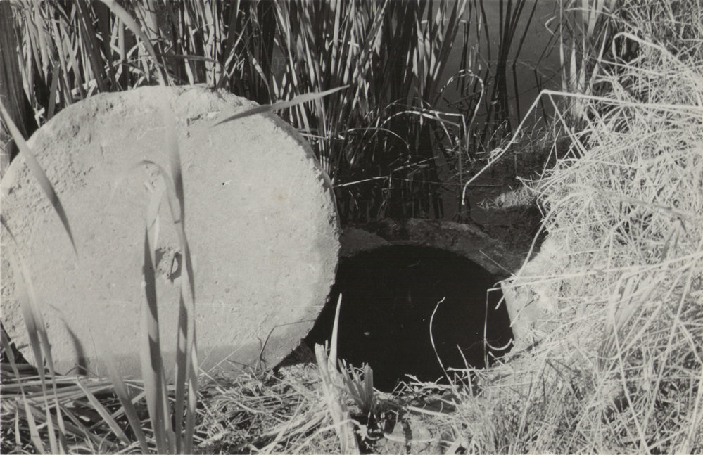 Results of flooding, early 1956