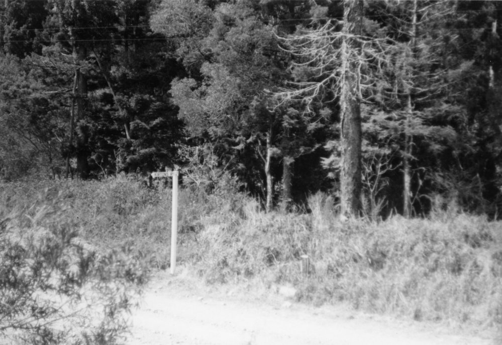 The intersection of Eastern Dorrigo Way and Kirtons Road, c.1956
