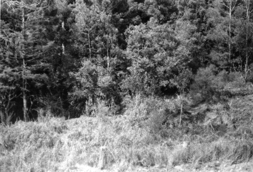 Location for new drainage pipes at Eve Creek, c.1956