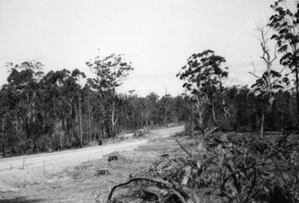 Road construction, c.1956
