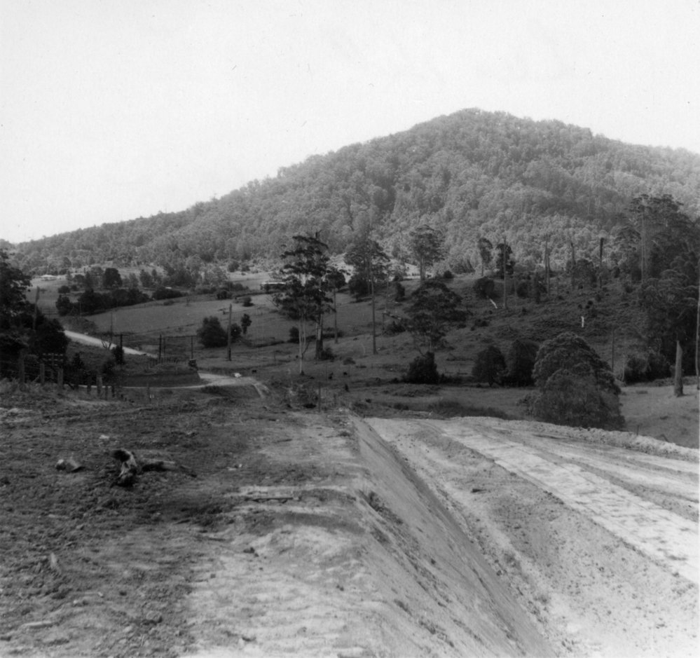 View from Lee's Hill to Mount Coramba, c.1956