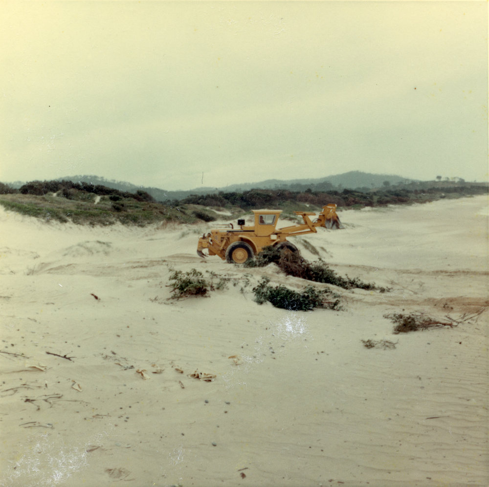 Sand dune reclamation work near Coffs Creek, January 1969