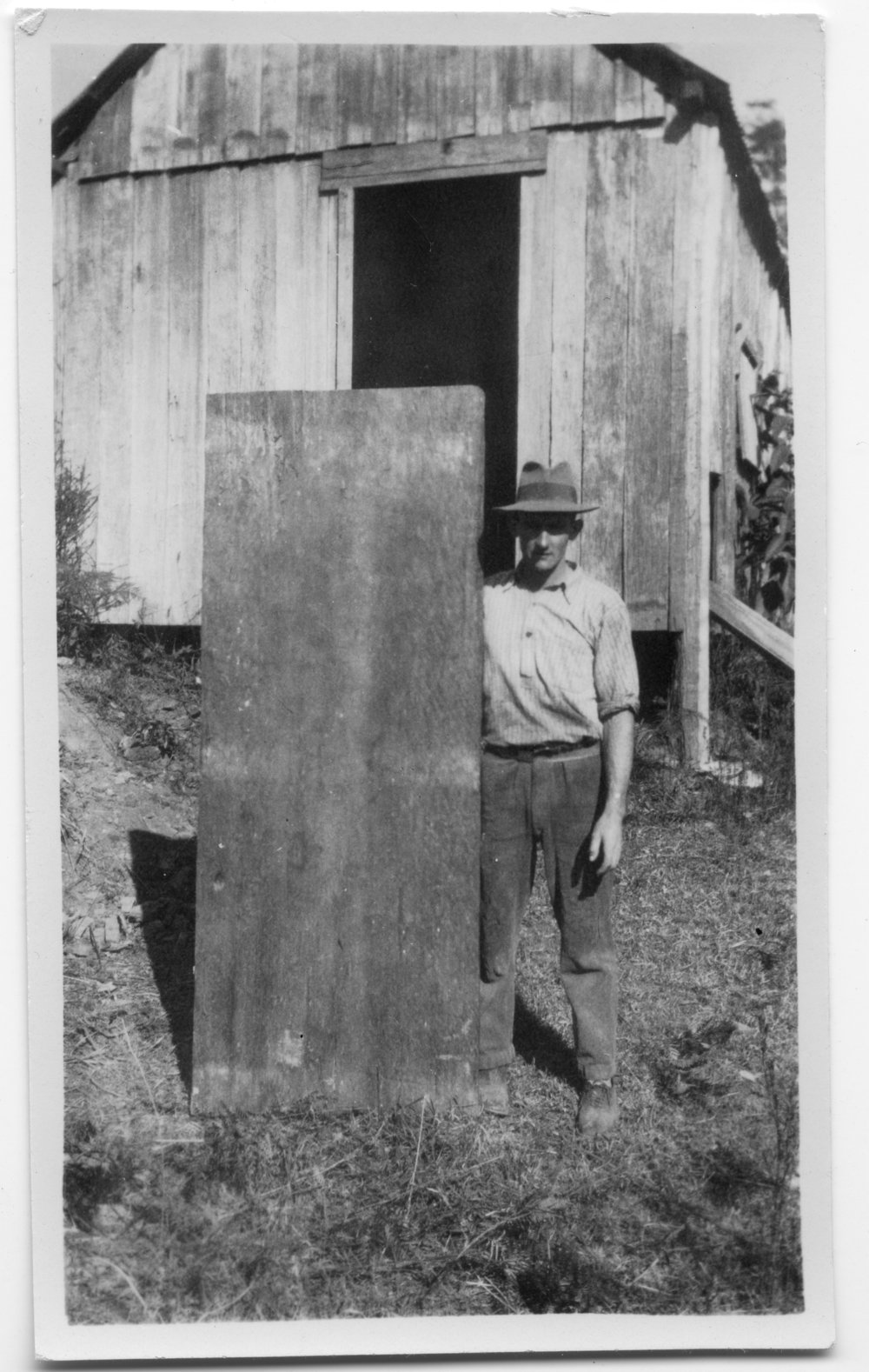 Norman Hoschke with timber for banana packing cases, 1930s