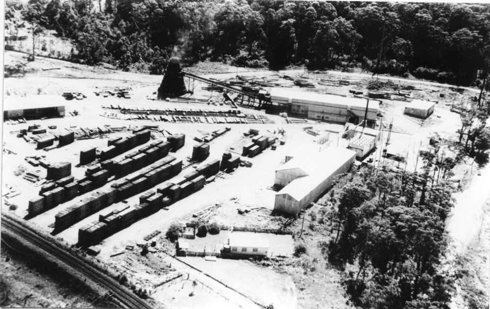 Allen Taylor &amp; Co's sawmill, early 1960s
