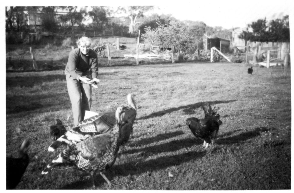 Betty Nicol feeding the neighbour's poultry, 1950s 