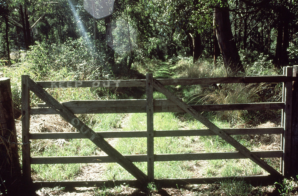 Front gate and track replaced by the North Coast Regional Botanic Garden