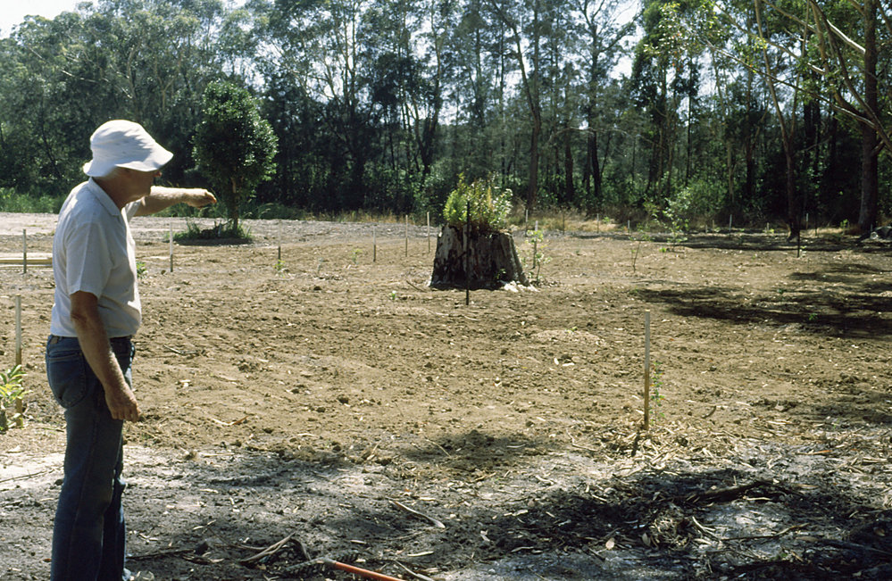Laying out the grid for the rainforest section in the North Coast Regional Botanic Garden