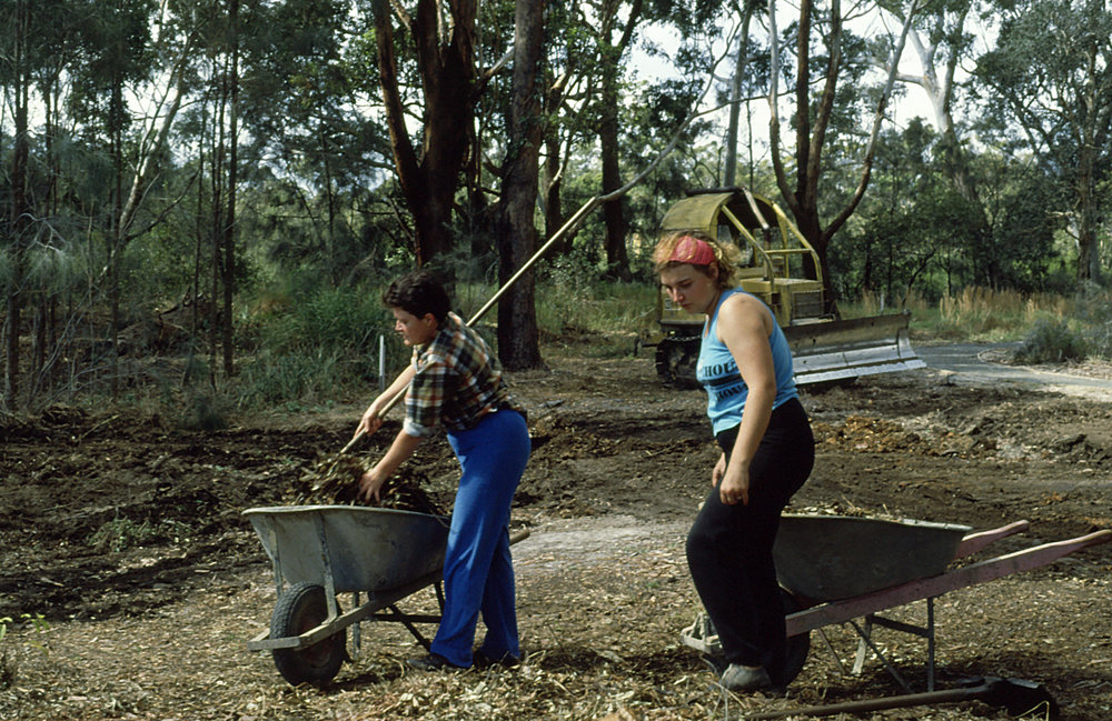 Volunteers spreading mulch in rainforest section at the North Coast Regional Botanic Garden