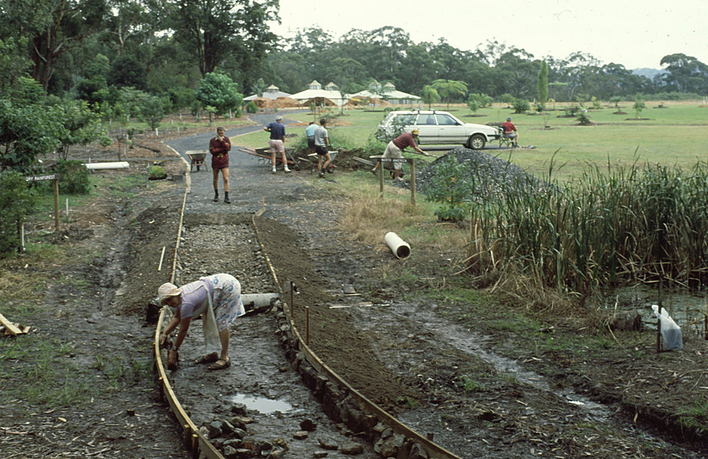 Working bee at the North Coast Regional Botanic Garden