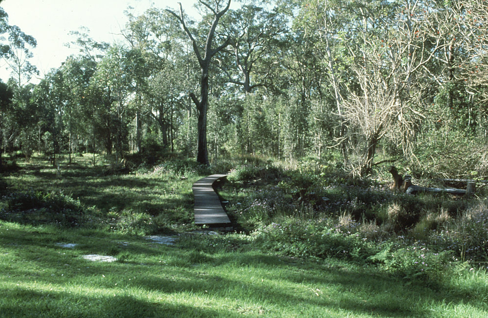 Completed paperbark boardwalk in the North Coast Regional Botanic Garden