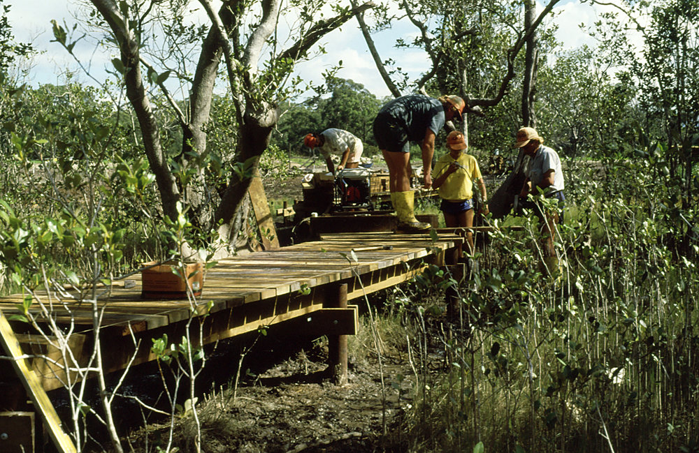Paperbark boardwalk in the North Coast Regional Botanic Garden