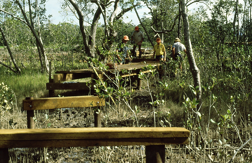 Northern boardwalk construction in the North Coast Regional Botanic Garden