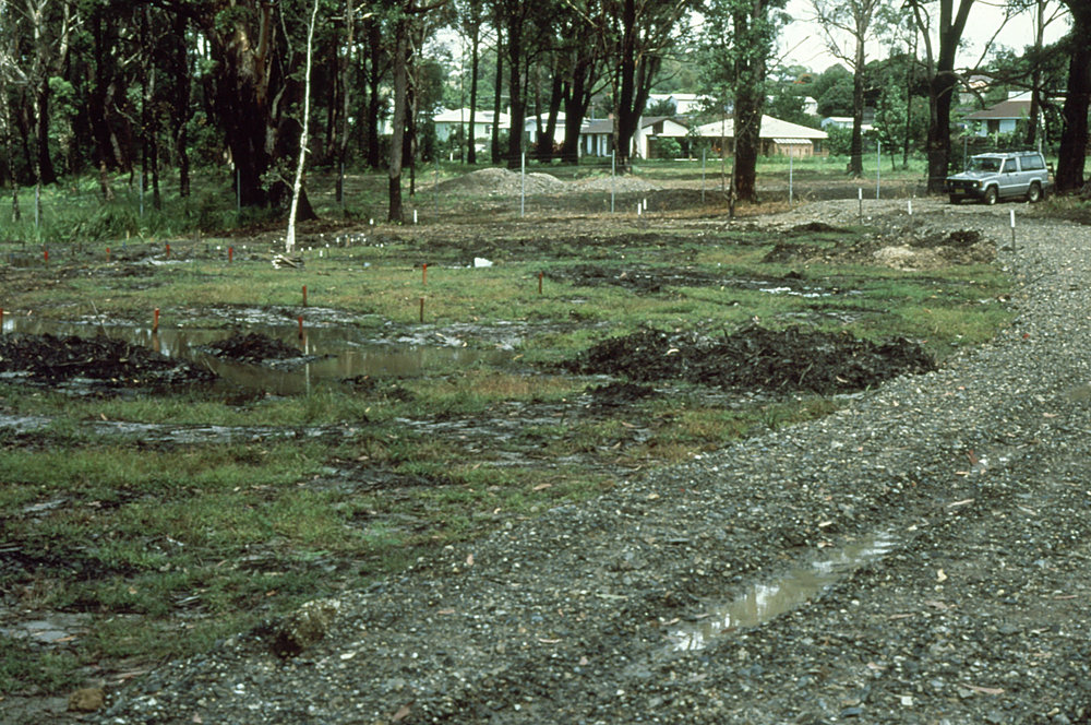 Marking out the public display area at the Botanic Garden entrance 