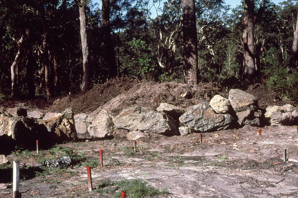 Clearing the front of the Botanic Garden site