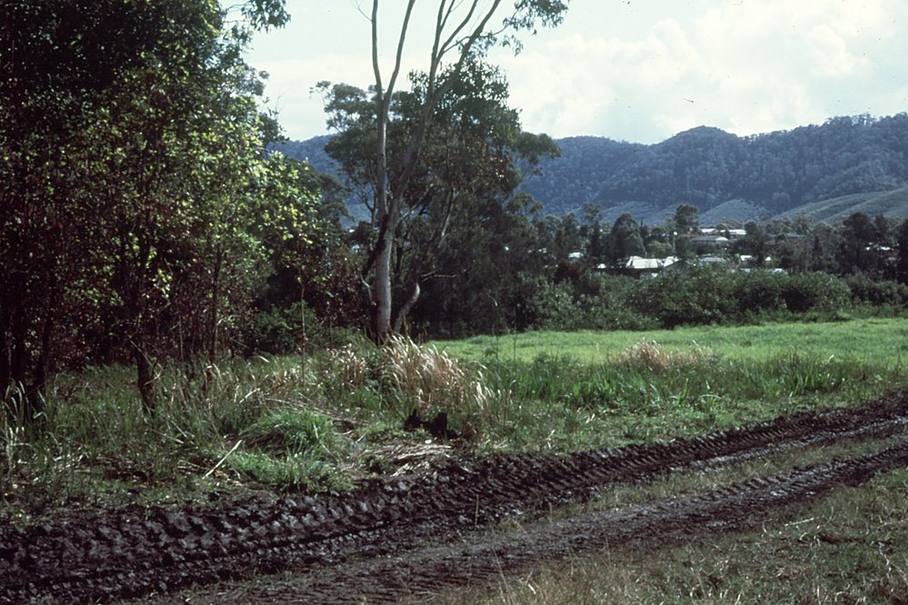 North Coast Regional Botanic Garden site for glasshouses 