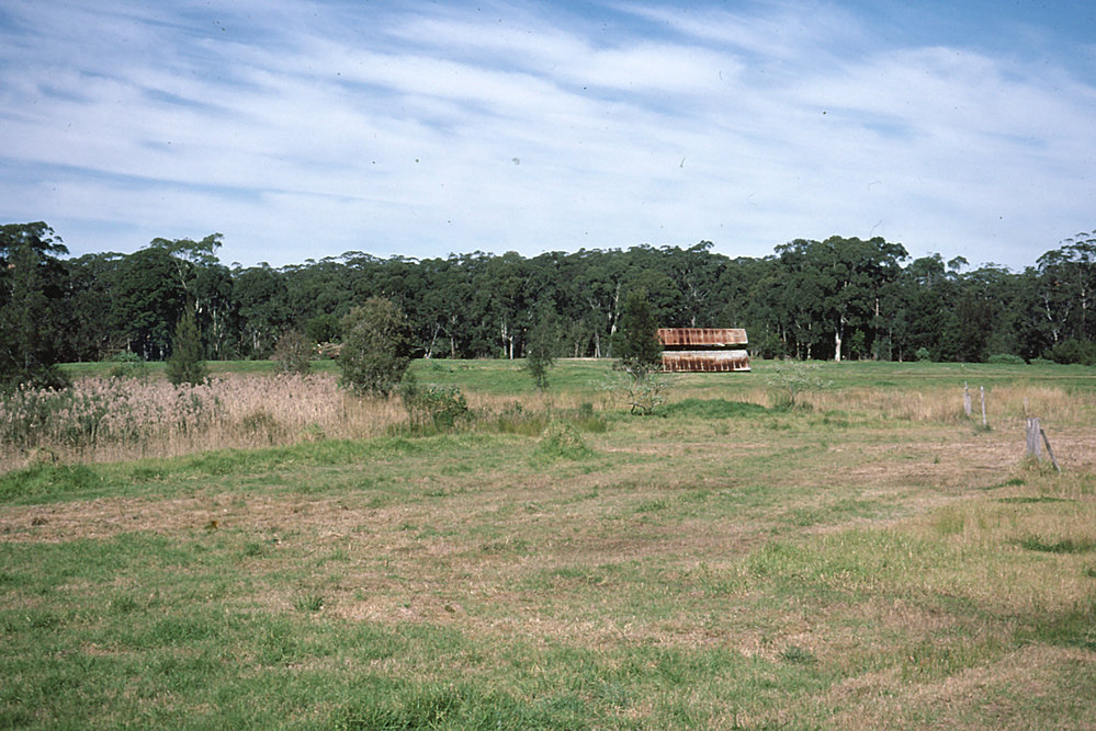 Fresh water swamp site for a lake in the North Coast Regional Botanic Garden