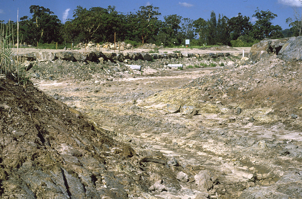 Building the Botanic Garden lake in the North Coast Regional Botanic Garden