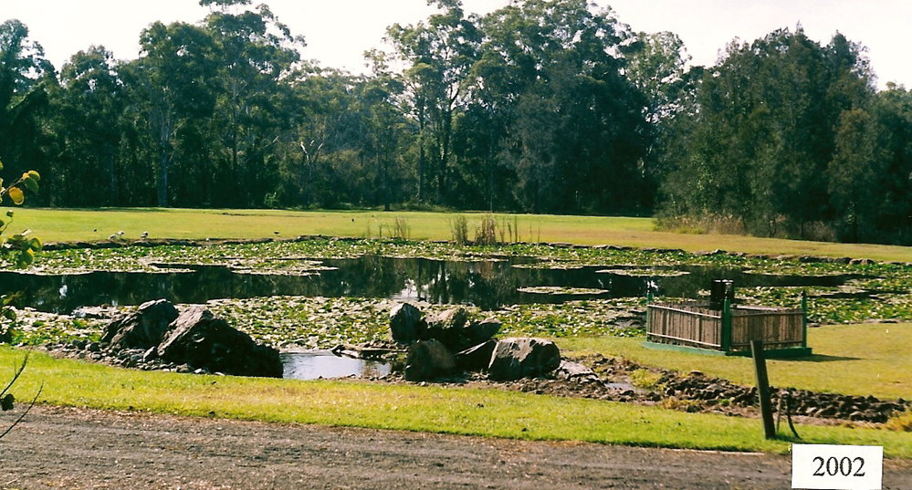 Western view of the lake in the North Coast Regional Botanic Garden