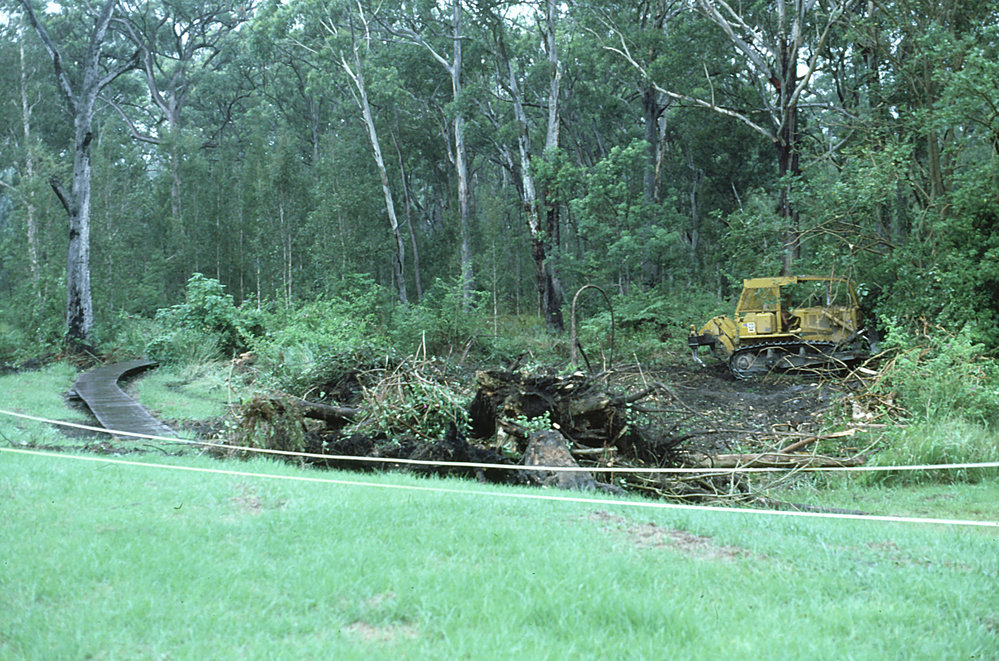 Clearing vegetation to build the rainforest in the Regional Botanic Garden