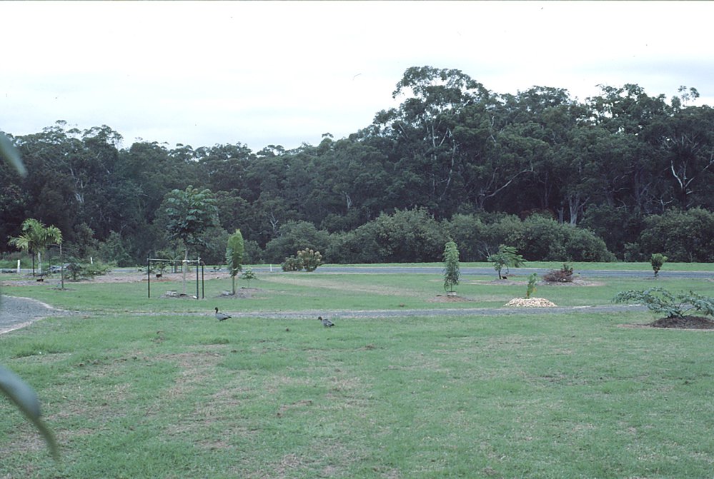 South Africa plantings in the North Coast Regional Botanic Garden