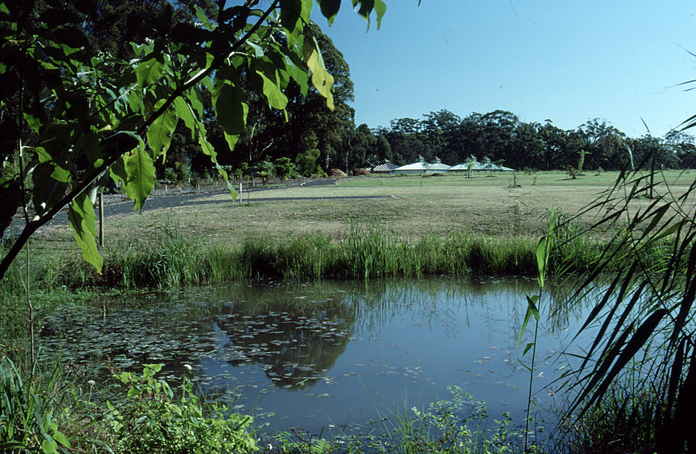 North America section of the Regional Botanic Garden