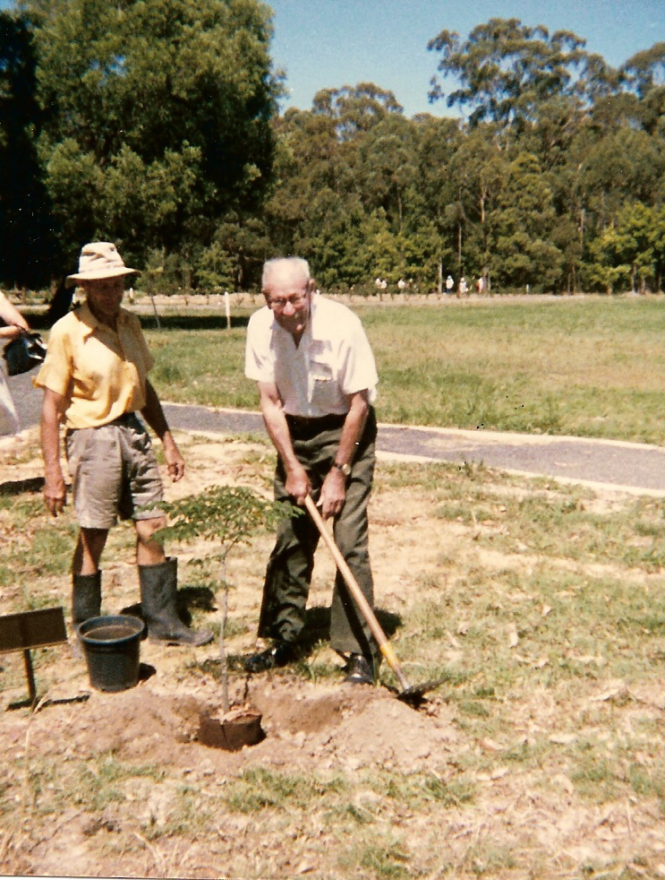 Planting the Leopard tree in the North Coast Regional Botanic Garden